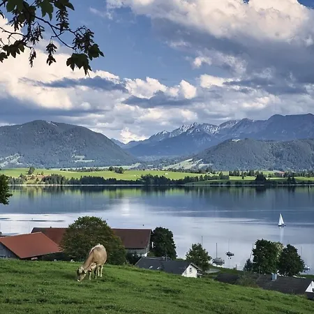 Appartement Ferienwohnung Saeulingblick *